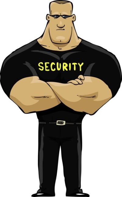 IT Security Guy