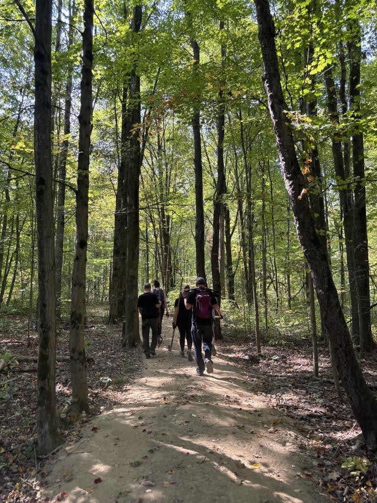 technology service provider