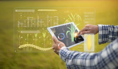 Tablet With A Screen Displaying A Field Of Crops